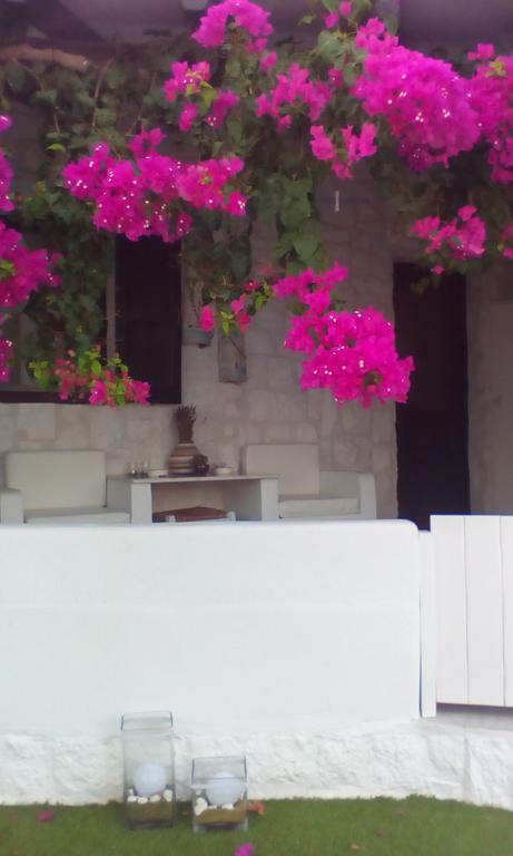 Hidden Heaven Villa Mykonos Town Værelse billede